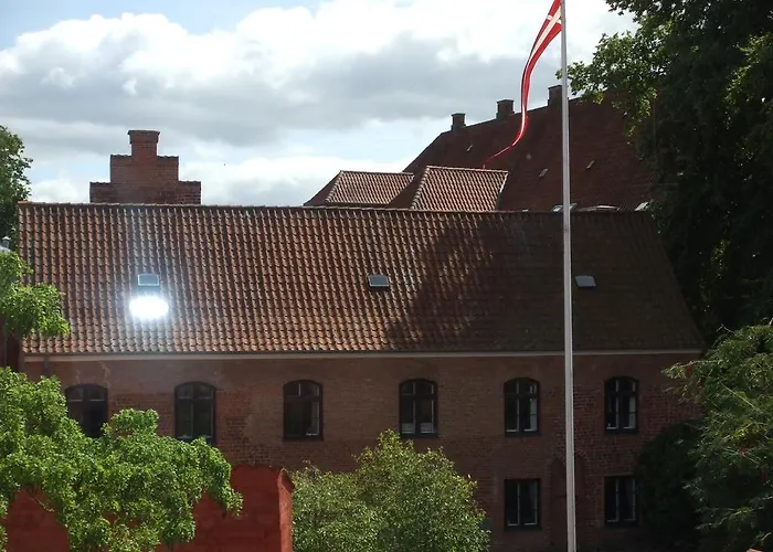 Nattely I Viborg By